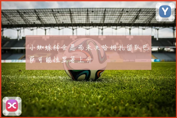 小蜘蛛转会悬而未决哈姆扎留队巴萨可能性显著上升