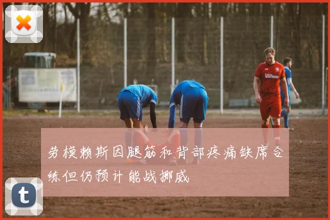 劳模赖斯因腿筋和背部疼痛缺席合练但仍预计能战挪威