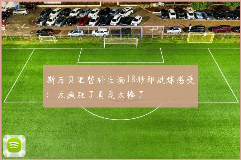 斯万贝里替补出场18秒即进球感受：太疯狂了真是太棒了