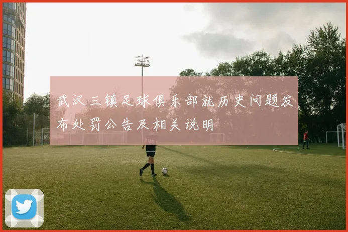 武汉三镇足球俱乐部就历史问题发布处罚公告及相关说明